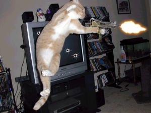 cats-with-guns-cat-firing.jpg
