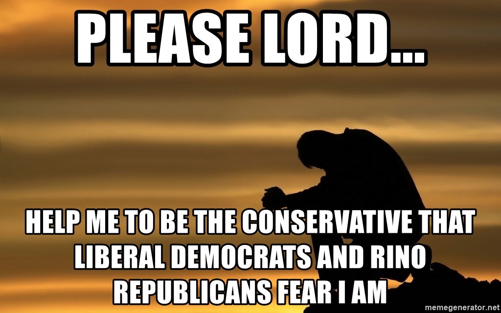 please-lord-help-me-to-be-the-conservative-that-liberal-democrats-and-rino-republicans-fear-i-am.jpg