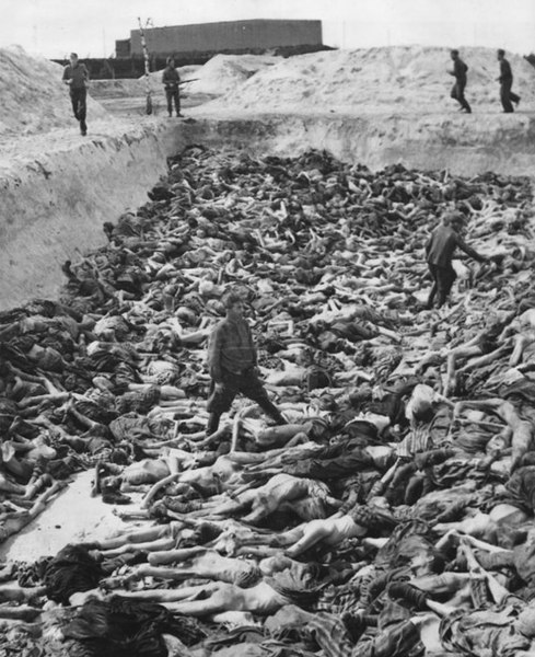 489px-Mass_Grave_3_at_Bergen-Belsen_concentration_camp.jpg